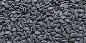 Sesame Seeds