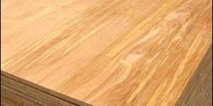 BWP Grade Plywood