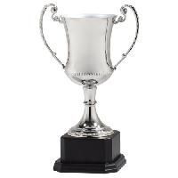 Silver Trophy
