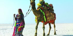 Luxury Holiday Packages