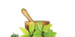 Allernil Ayurvedic Medicines