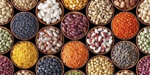 Indian Pulses