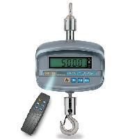 Digital Crane Scale