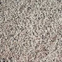 Aquaculture Probiotics