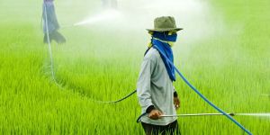 Agricultural Pesticides