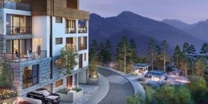 Construction Contractor  Services