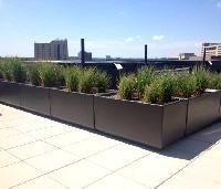 Fibre Glass Planters