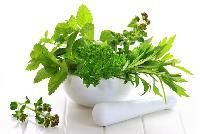 Fresh Herbs