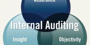 Internal Audit Assurance Services
