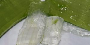 Aloe Vera Pulp