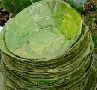 Natural Leaf Plates
