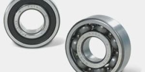 Special Purpose Bearings