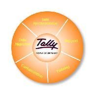 Tally Integration Software