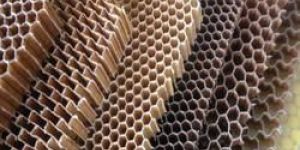 Paper Honeycomb Core