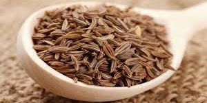 Cumin Seeds