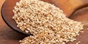Sesame Seeds