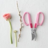 Flower Cutter