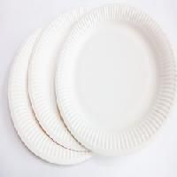 White Paper Plates