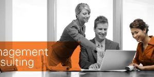 Management Consultation Services