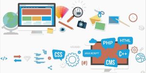 Web designing & development services