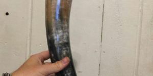 Viking Horn