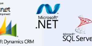 Web Application Development