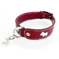 Pet Collars