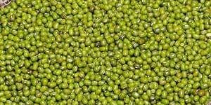 Green Moong Dal