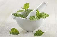 Herbal Mosquito Repellent