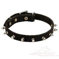Spiked Leather Dog Collar