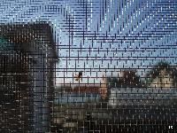Mosquito Screen