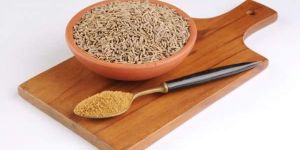 Cumin Powder- NMP Udhyog