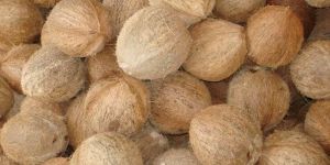 Husked Coconut