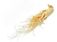 Ginseng Extract