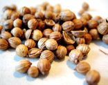 Coriander