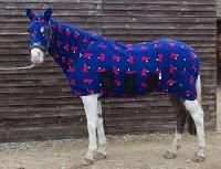 Horse Clothing