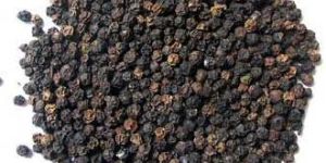 Black Pepper