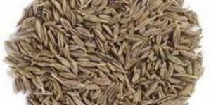 Cummin Seeds