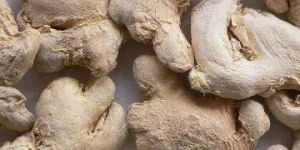 Dry Ginger