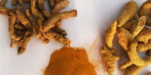 Turmeric
