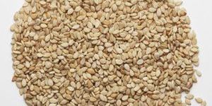 Natural Sesame Seeds