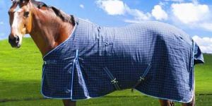 Summer Rug (GI-RG-042)