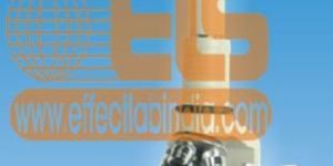 Projection Microscope