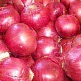 Fresh Onions
