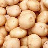 Fresh Potatoes