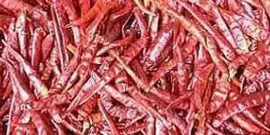 Dry Red Chili