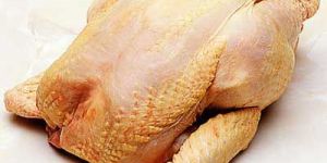 Raw Chicken