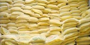 Plaster Of Paris Plant