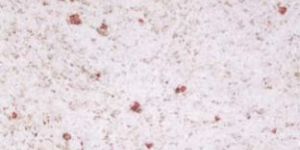 K- White Granite Stone