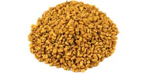 Fenugreek Seeds